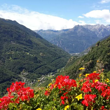 Le Petit Coeur 招待所 3*