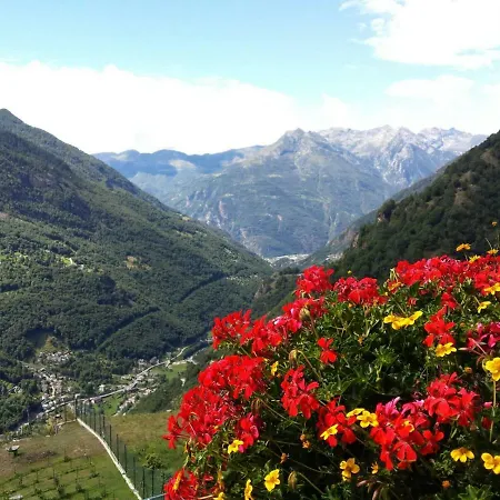 Le Petit Coeur 招待所 3*