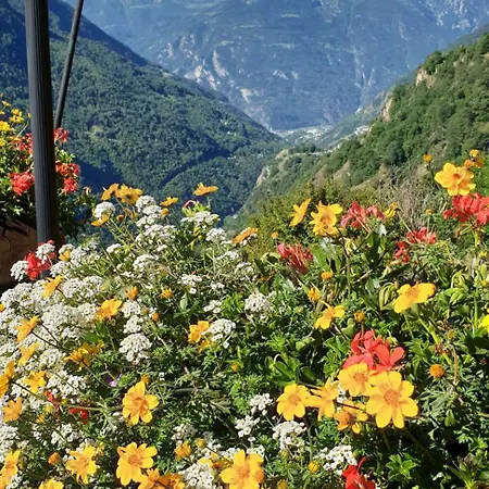 招待所 Le Petit Coeur 3*