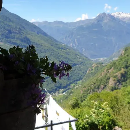 招待所 Le Petit Coeur