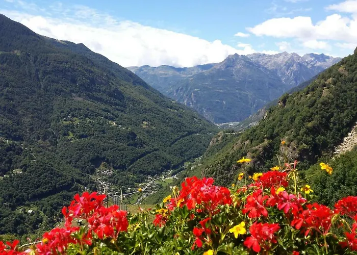 Le Petit Coeur 招待所 3*