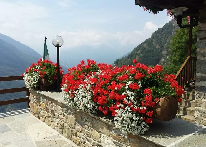 招待所 Le Petit Coeur