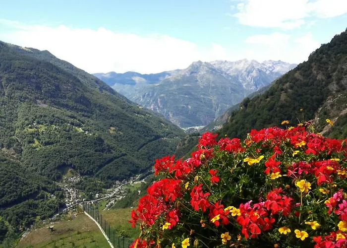 Le Petit Coeur 招待所 3*