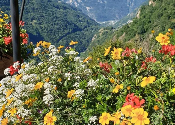 招待所 Le Petit Coeur 3*